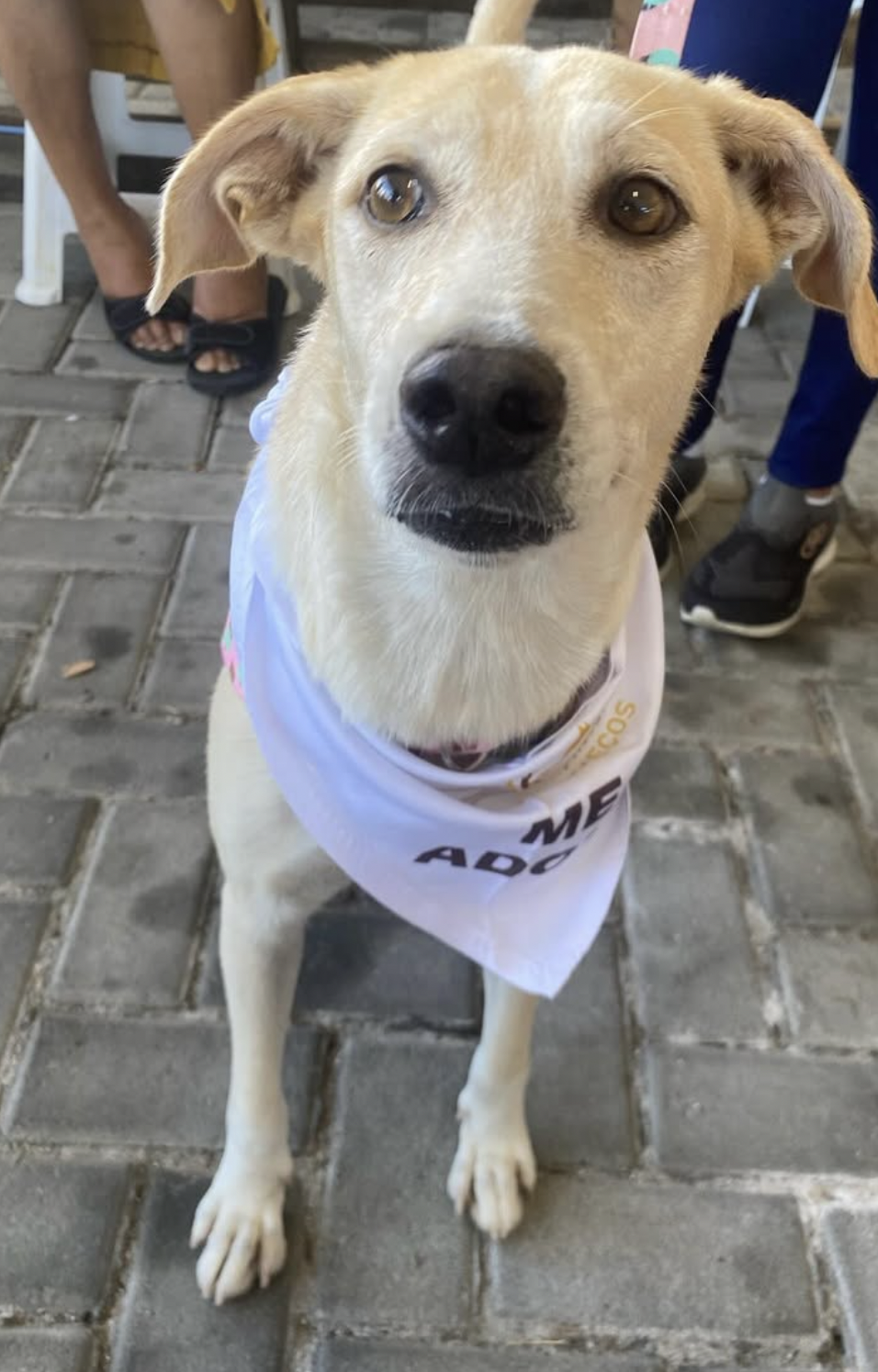 Screenshot at May 20 16-25-54