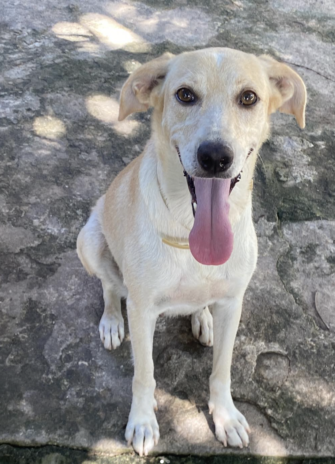 Screenshot at May 20 16-26-07